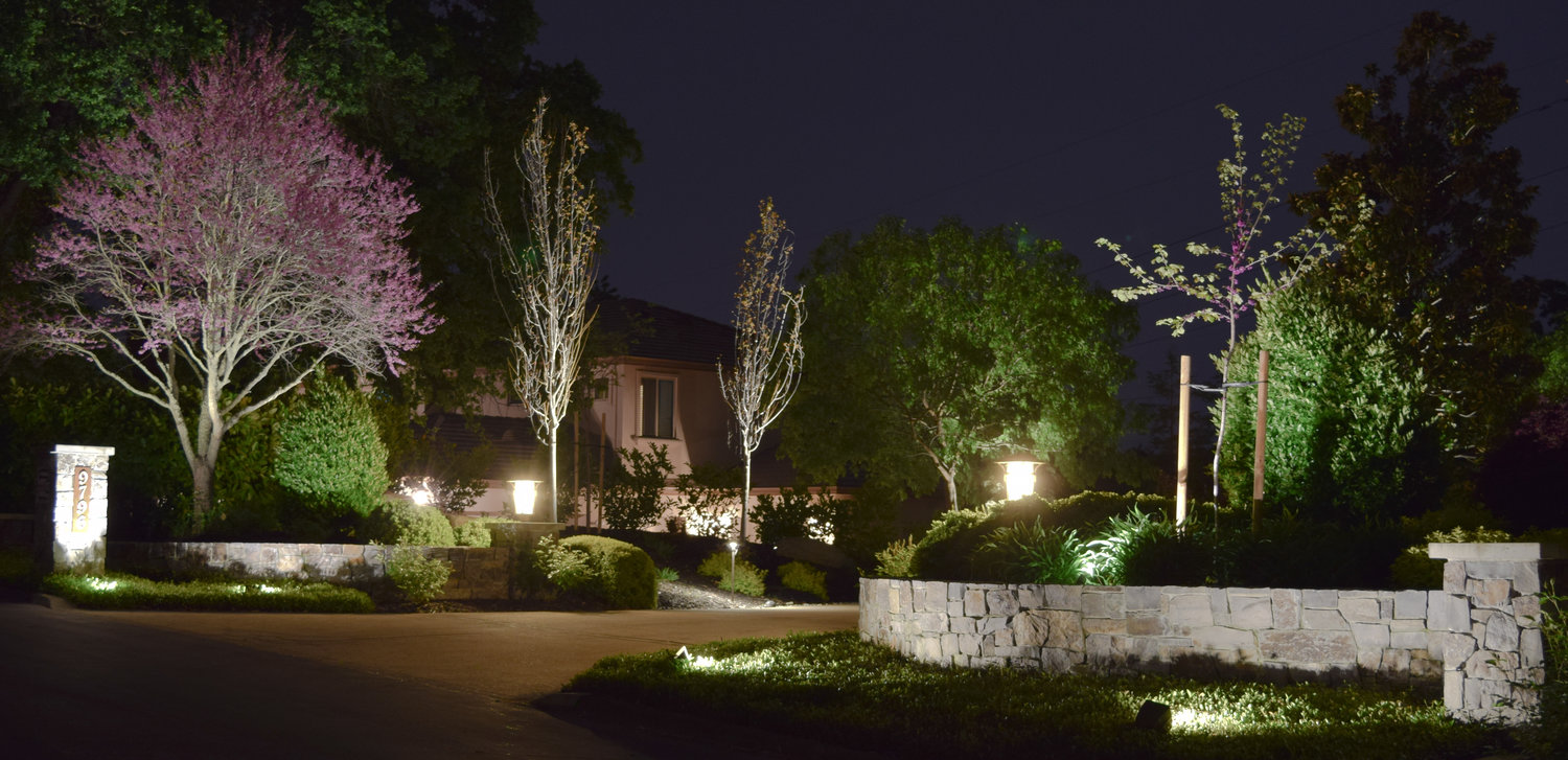 Lighting the Path to Beauty: Your Landscape Lighting Specialist